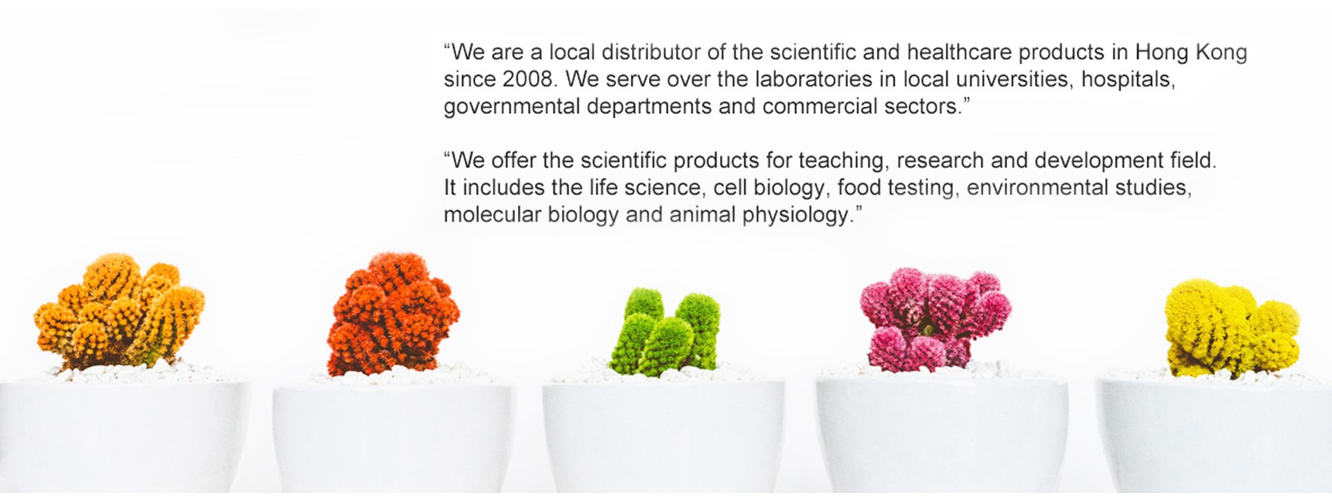 Main Slide