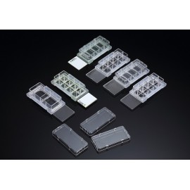 30108 Cell Culture Slide