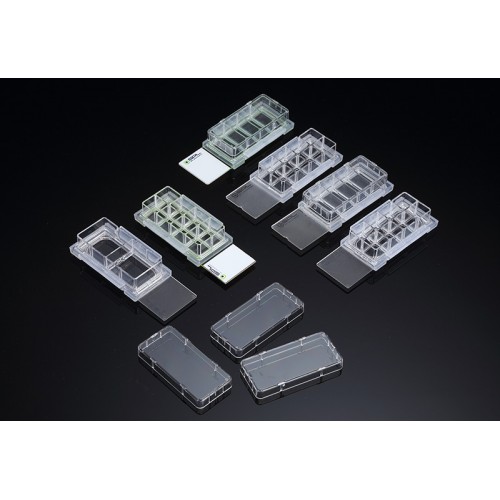 30108 Cell Culture Slide