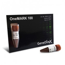 GD 50bp DNA Ladder RTU (500 μl)