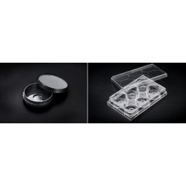 100350 Confocal dish