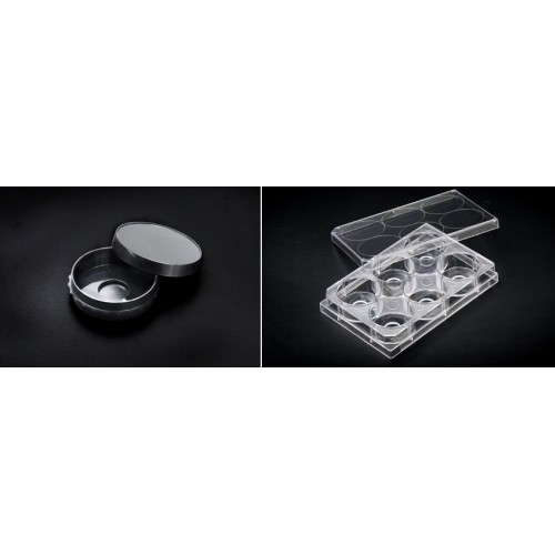 200350 Confocal dish