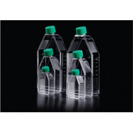 70025 Cell Culture Flask