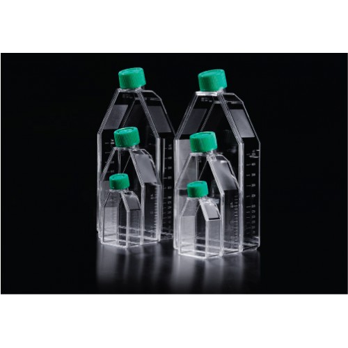 70075 Cell Culture Flask