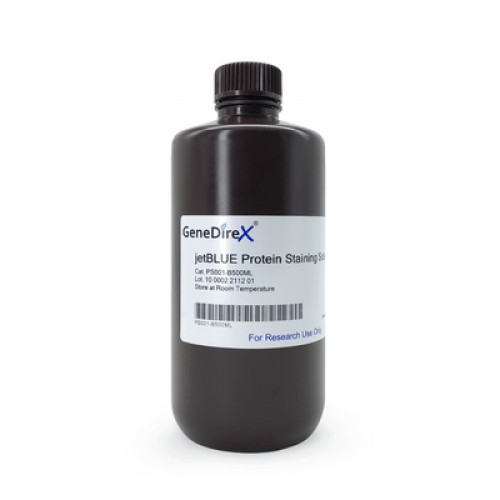 GeneDireX jetBLUE Protein Staining Solution (500ML)