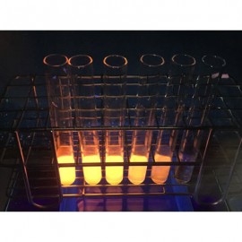R-Phycoerythrin (R-PE) (2mg / 100mg / 500mg (20 mg/ml))