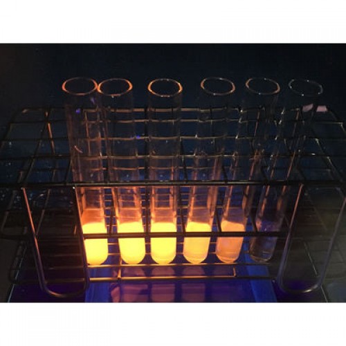 R-Phycoerythrin (R-PE) (2mg / 100mg / 500mg (20 mg/ml))